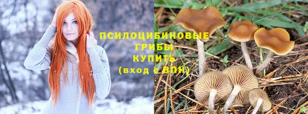спиды Балабаново