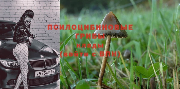 ALPHA PVP Баксан