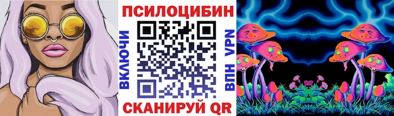 наркотики  Гаврилов-Ям  Псилоцибиновые грибы Magic Shrooms 
