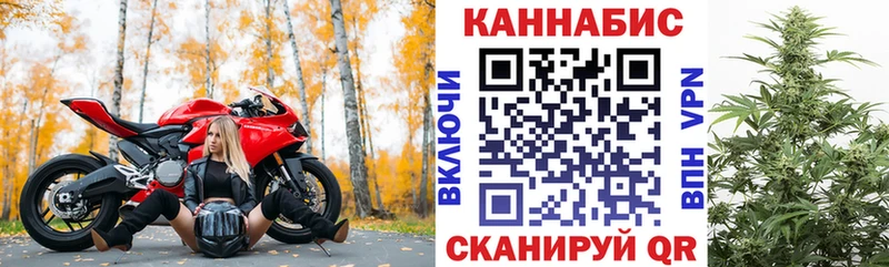 купить наркотики сайты  Гаврилов-Ям  Бошки марихуана индика 